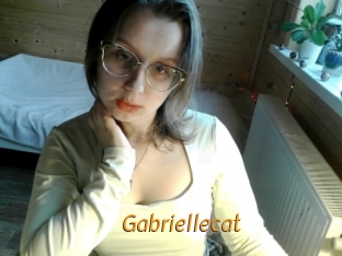 Gabriellecat