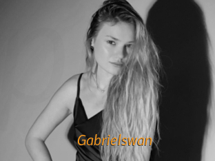 gabrielswan Porn University