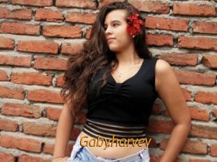 Gabyharvey
