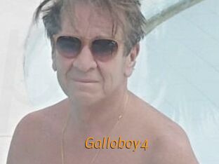 Galloboy4