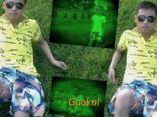 Gaokui