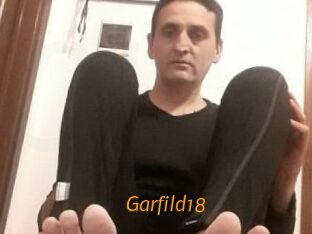 Garfild18