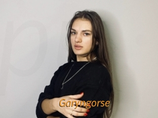 Garyngorse