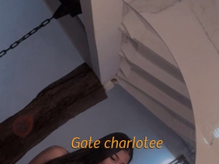 Gate_charlotee