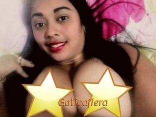 Gaticafiera