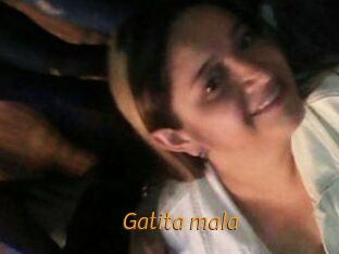 Gatita_mala