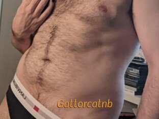 Gattorcatnb