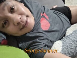 Georgedammer
