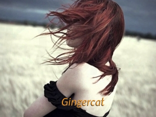 Gingercat