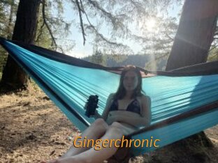 Gingerchronic