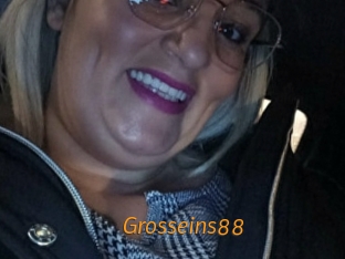 Grosseins88