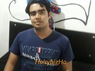HairybigHo
