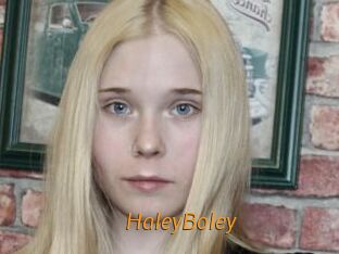 HaleyBoley