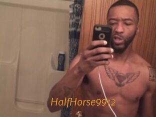 HalfHorse9912