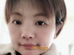 Haringo