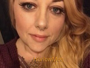 HarlowMae