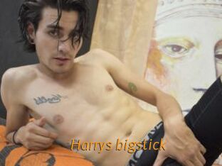 Harrys_bigstick