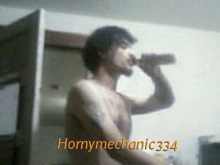 Hornymechanic334