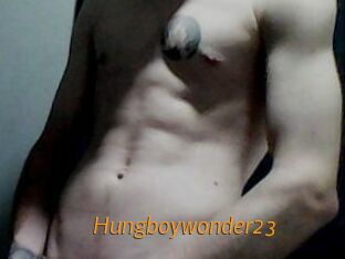 Hungboywonder23