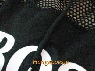 Harigepoesje