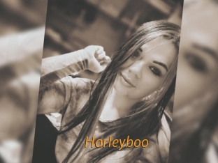 Harleyboo