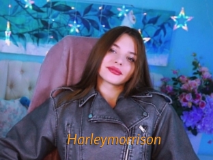 Harleymorrison