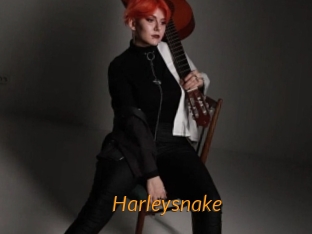 Harleysnake