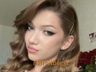Harrietbagge