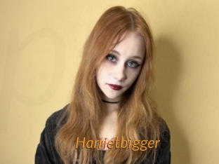 Harrietbigger