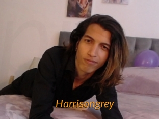 Harrisongrey