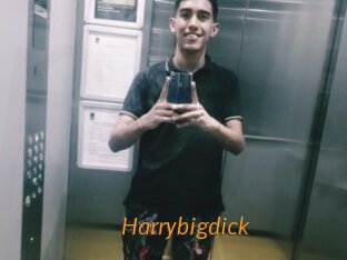 Harrybigdick