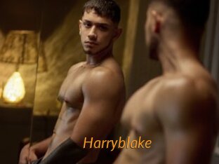 Harryblake