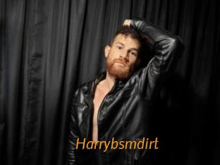Harrybsmdirt