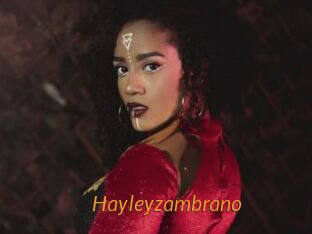 Hayleyzambrano