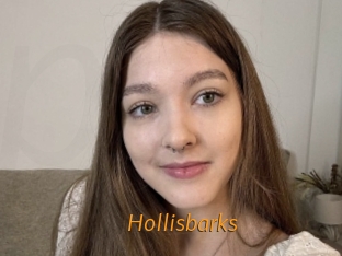 Hollisbarks