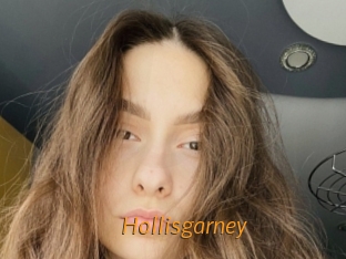 Hollisgarney