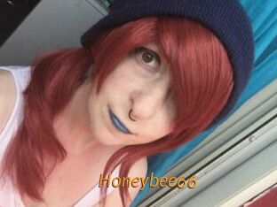 Honeybee66