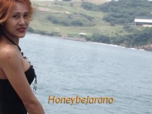 honeybejarano Porn University