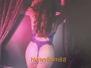 Honeybum88