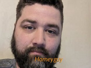 Horneyguy