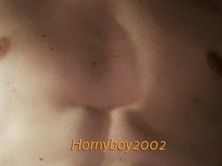 Hornyboy2002