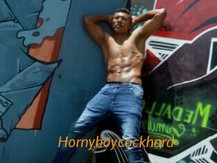 hornyboycockhard Porn University