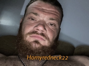 Hornyredneck22