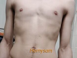 Hornysam