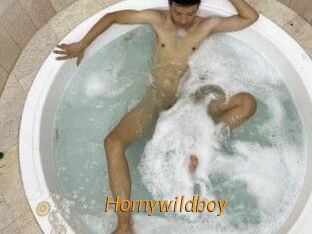 Hornywildboy