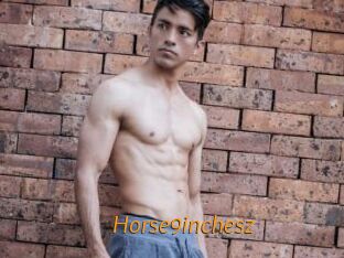 Horse9inchesz