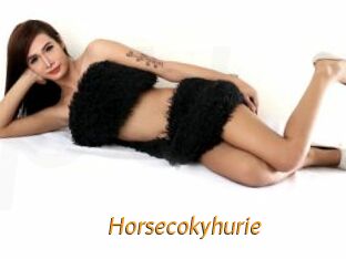 horsecokyhurie Porn University