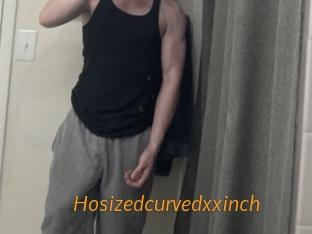 hosizedcurvedxxinch Porn University