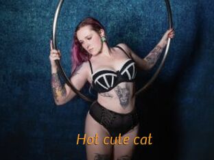 Hot_cute_cat