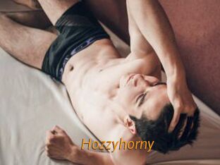 Hozzyhorny